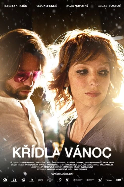 Křídla Vánoc (2013) İzle
