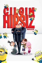 Çılgın Hırsız (2010) İzle