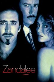 Zandalee (1991) İzle