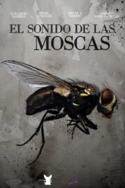 El sonido de las moscas (2025) İzle