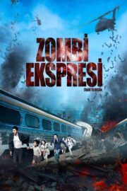 Zombi Ekspresi (2016) İzle