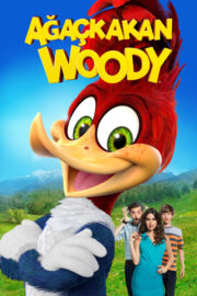 Ağaçkakan Woody (2017) İzle