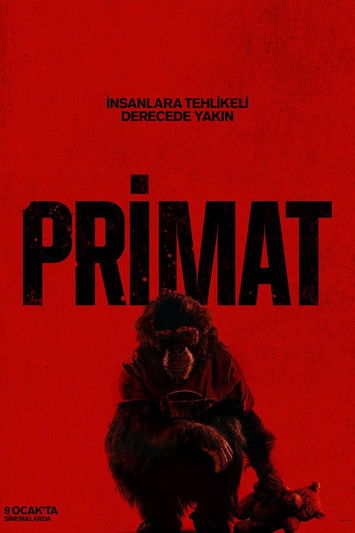Primat (2026) İzle