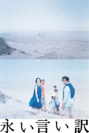 永い言い訳 (2016) İzle