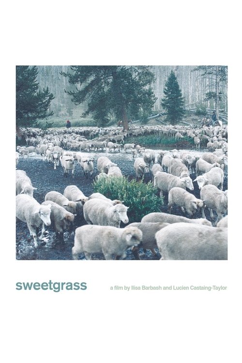 Sweetgrass (2009) İzle