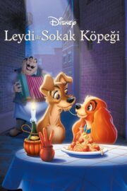 Leydi ile Sokak Köpeği (1955) İzle