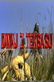 Dwaj z Teksasu (2000) İzle
