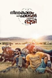 Neelakasham Pachakadal Chuvanna Bhoomi (2013) İzle
