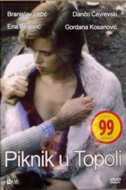 Piknik u Topoli (1981) İzle