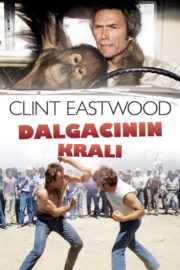 Dalgacının Kralı (1978) İzle