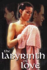 Il labirinto dei sensi (1994) İzle