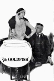 The Goldfish (1924) İzle
