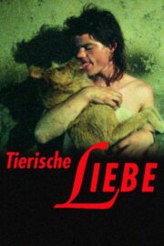 Tierische Liebe (1996) İzle