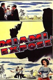 Miami Exposé (1956) İzle