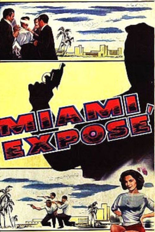 Miami Exposé (1956) İzle