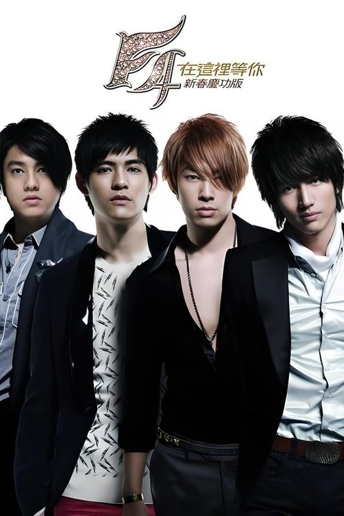 F4 在这里等你 庆功演唱会