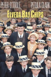 Elveda Bay Chips