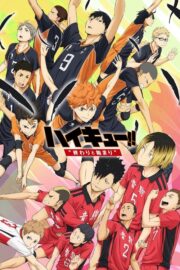 Haikyuu