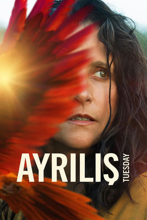 Ayrılış (2024) İzle