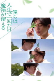 僕らは人生で一回だけ魔法が使える (2025) İzle