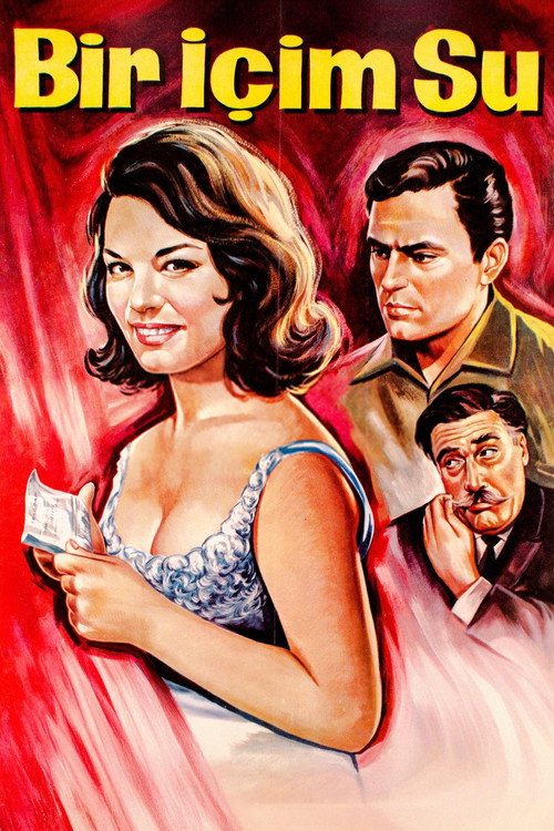 Bir İçim Su (1964) İzle