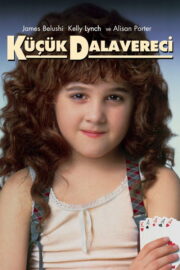 Küçük Dalavereci (1991) İzle