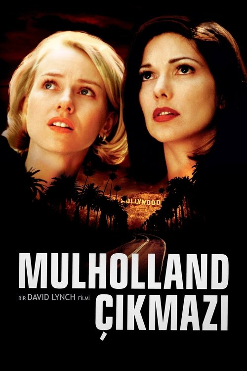 Mulholland Çıkmazı (2001) İzle
