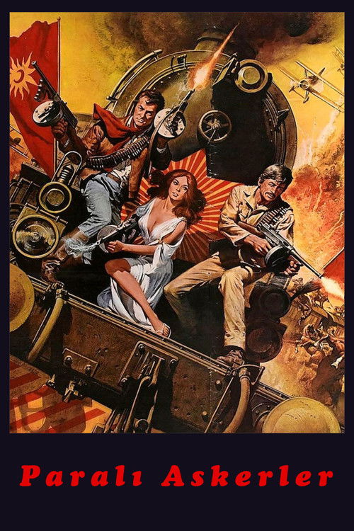 Paralı Askerler (1970) İzle
