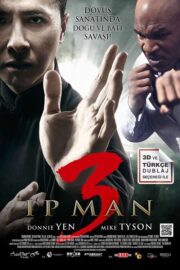 Ip Man 3 (2015) İzle