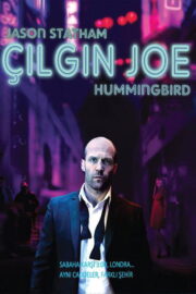 Çılgın Joe (2013) İzle