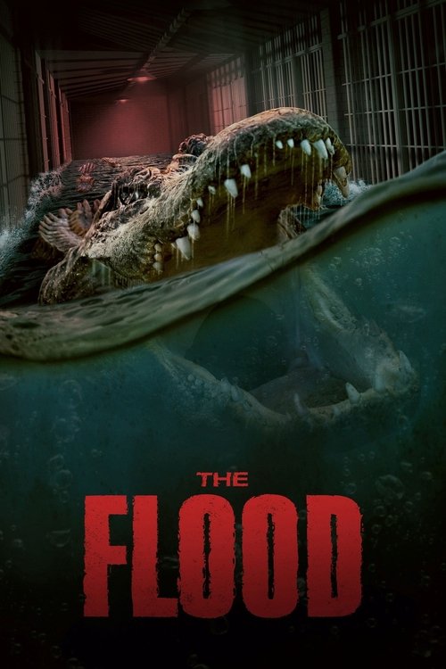 The Flood (2023) İzle