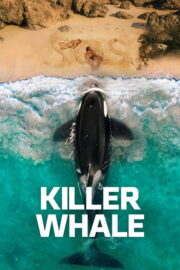 Killer Whale (2026) İzle