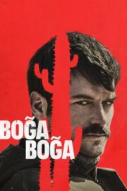 Boğa Boğa (2023) İzle