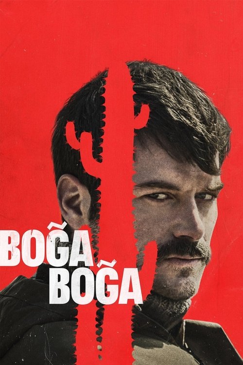 Boğa Boğa (2023) İzle
