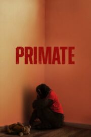 Primat (2026) İzle